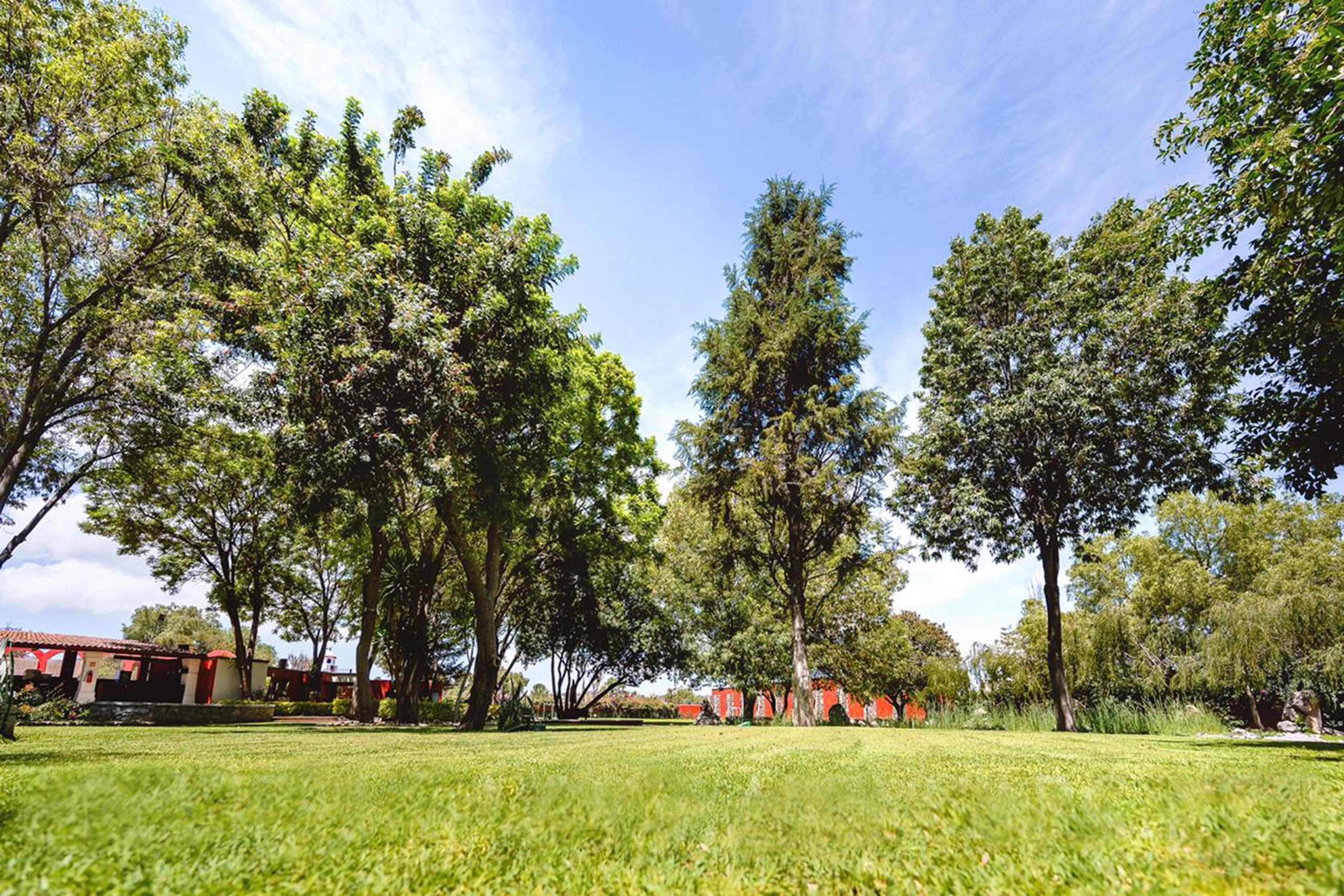 Real De Minas San Miguel De Allende Esterno foto The park