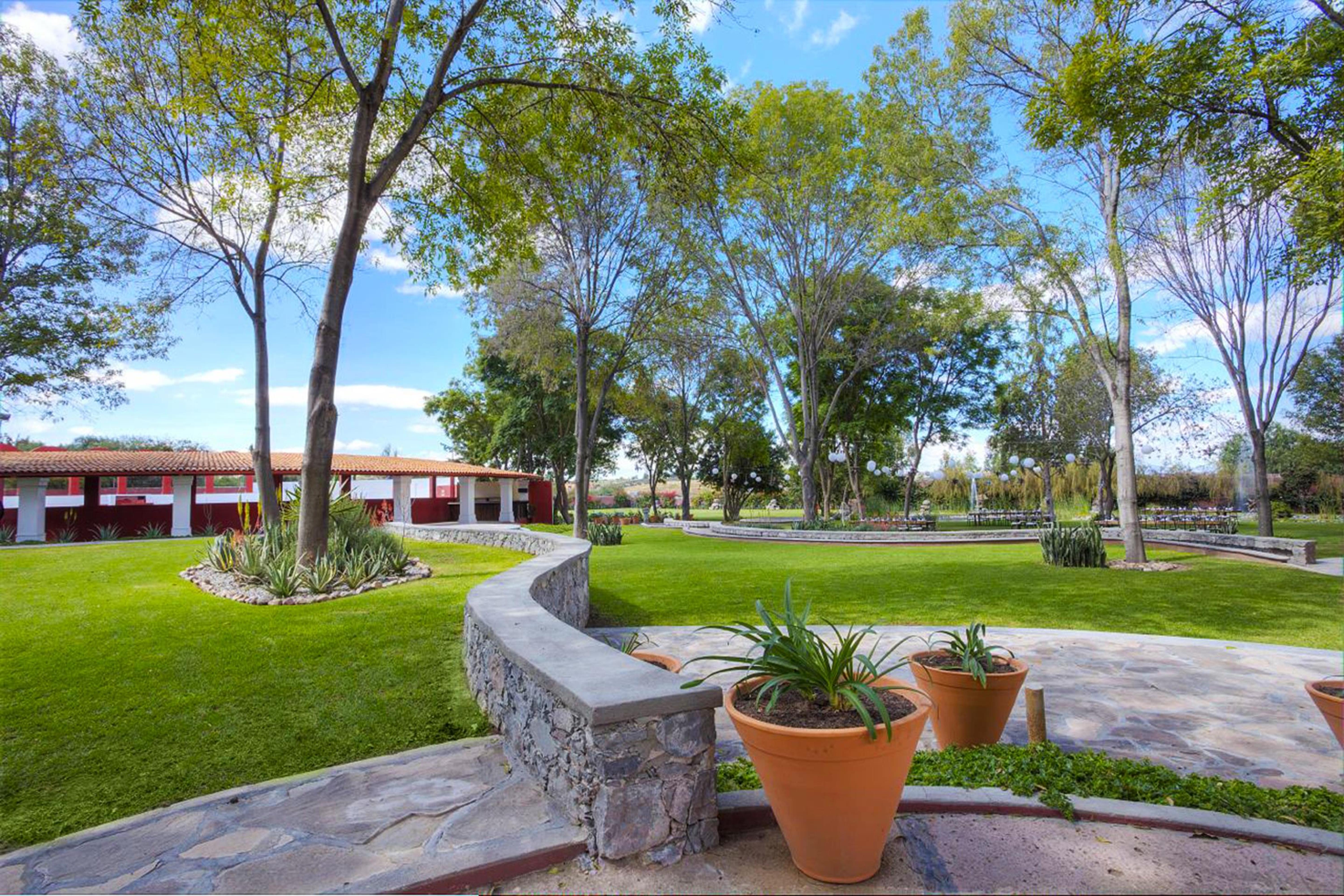 Real De Minas San Miguel De Allende Esterno foto View of the main square in San Marcos