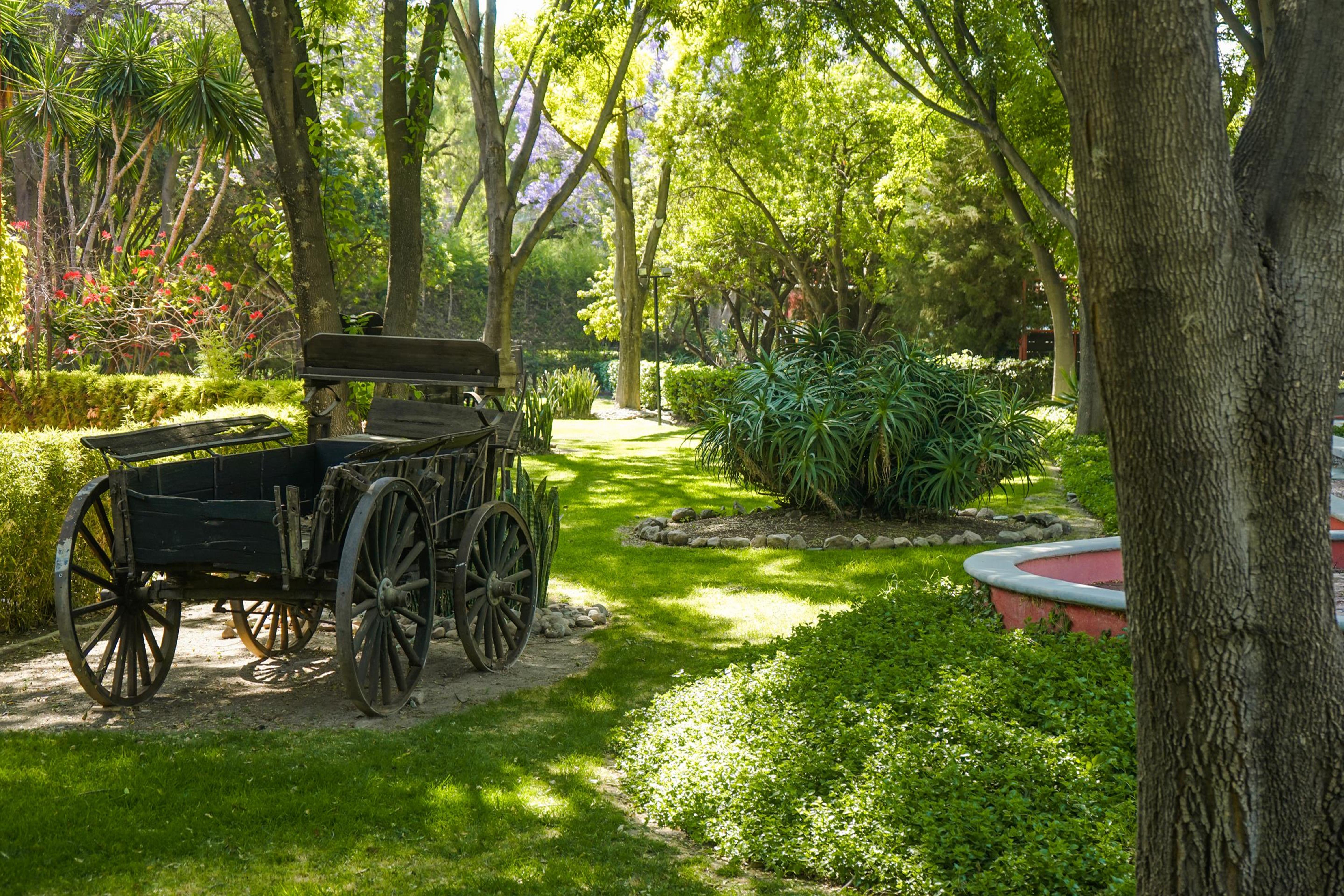 Real De Minas San Miguel De Allende Esterno foto The gardens of the museum